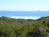 DSC00233.JPG