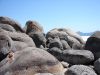 DSC00240.JPG
