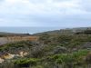 DSC00356.JPG